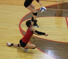 Volleyball Team on historic season