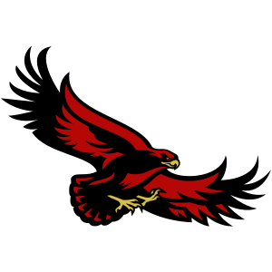 swooping hawk logo