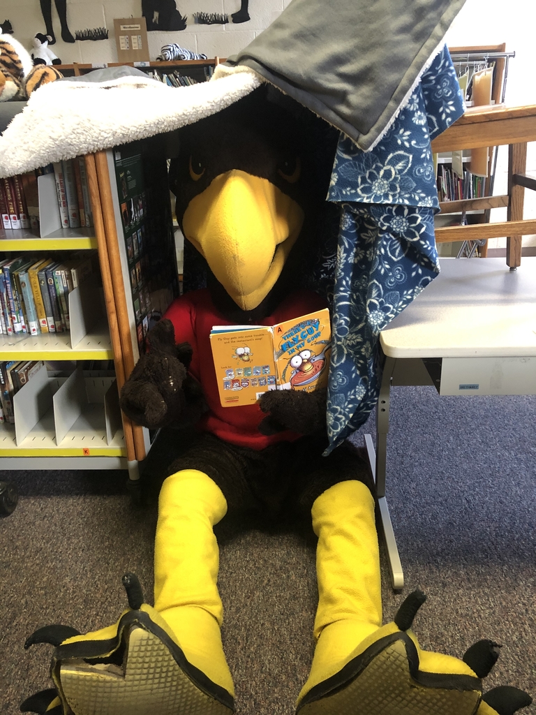 Read in a fort! 